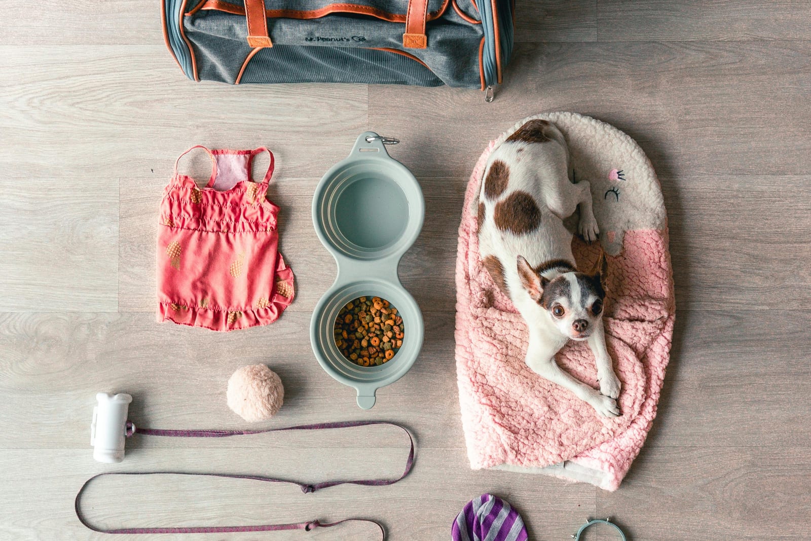 Pet products fulfillment — Shipprep Houston